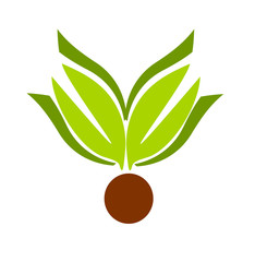 Obraz na płótnie Canvas Leaf emblem