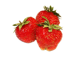 Ягоды клубники на белом фоне, виктория
