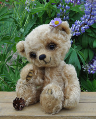 Teddy-bear Lucky