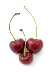 Belles cerises rouges sur fond blanc