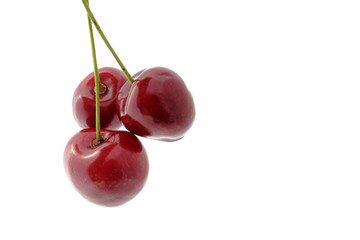 Cerise rouges isolée sur fond blanc