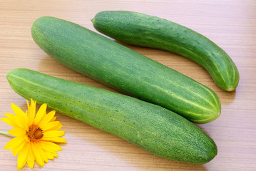 green young cucumber