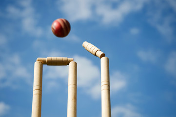 Cricket stumps and bails hit by a ball - obrazy, fototapety, plakaty