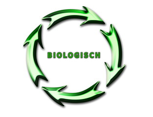 ökologie,kreislauf