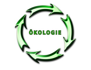 ökologie,kreislauf