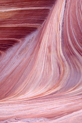 Obraz premium The Wave, Paria canyon