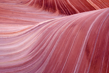 The wave, Paria Canyon