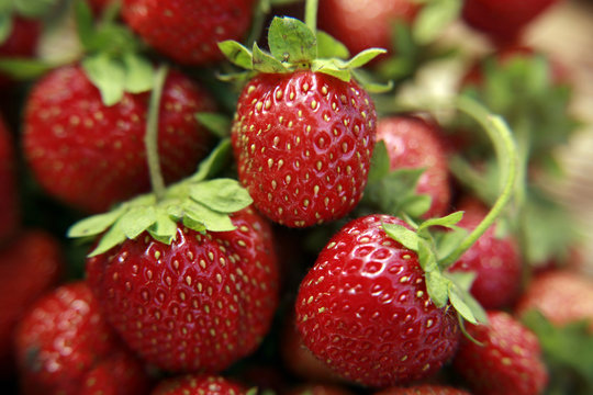 Freshness strawberries closeup
