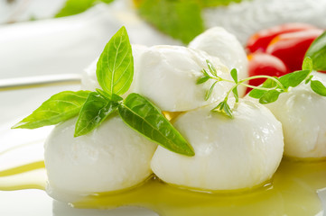 mozzarella and basil over olive oil - mozzarella e olio