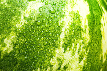 watermelon and water drops