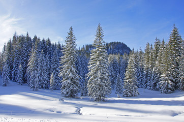 Winterlandschaft