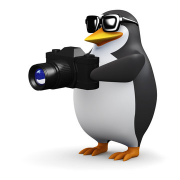 3d Penguin takes a picture