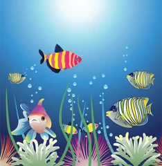 Wandcirkels aluminium vector aquarium en kleurrijke vissen © FreeSoulProduction