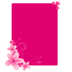 Pink frangipani frame