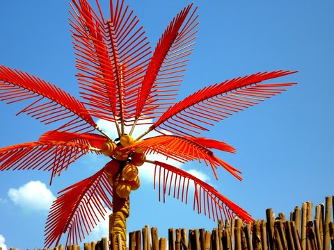 Palme