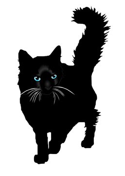 Black cat a silhouette with color eays vector