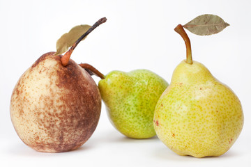 pears isolated on white background