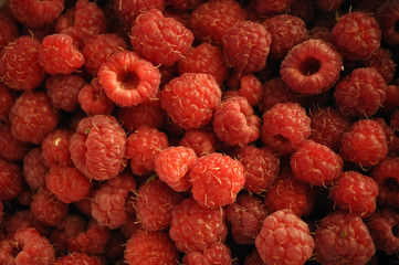 Raspberries