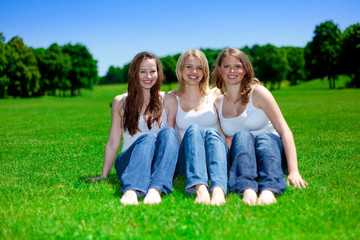 Fototapeta premium Beauty and nature