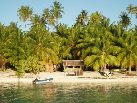 Palmiers sur une plage de Rangiroa