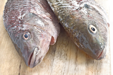 fresh fish on wooden board