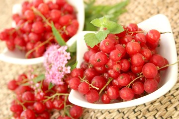 Rote Johannisbeeren