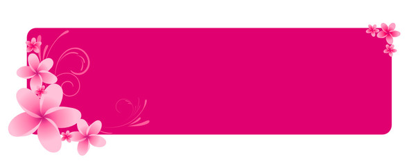 Pink horizontal banner with frangipani flowers