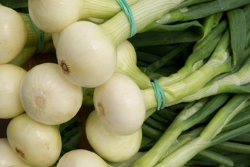 early onions with green leaves