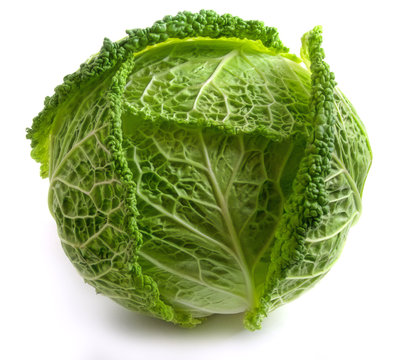 Savoy Cabbage