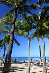 Waikiki Beach, Honolulu, Oahu, Hawaii..