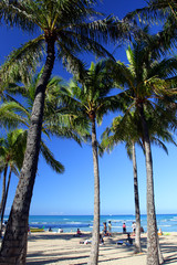 Fototapeta na wymiar Waikiki Beach, Honolulu, Oahu, Hawaii..