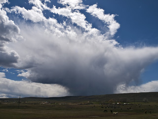 Thunder Storm Clouds over Horses