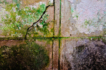 The cement texture