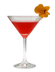 Cocktail inkl. Freisteller