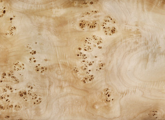 Veneer, poplar root