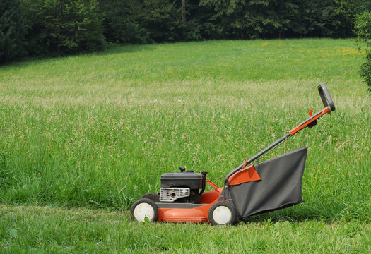 Cortando mi c&eacute;sped.