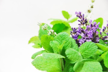 ラベンダーとミント © Botamochy