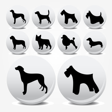 Dogs collection vector icons