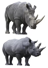 Foto auf Leinwand white rhino rhinoceros © kikkerdirk