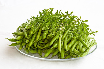 bohnen mit bohnenkraut