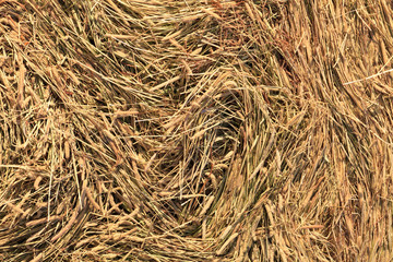 Straw background
