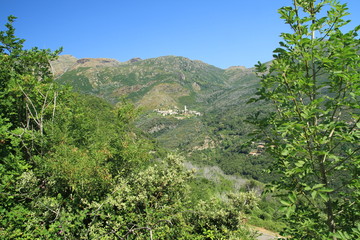 Fototapeta na wymiar montagne et village corse (figarella)