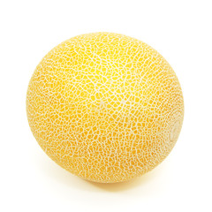 yellow cantelope