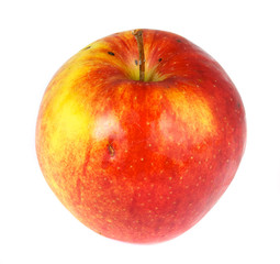red apple on white background