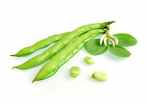 Broad beans
