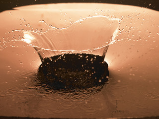 Water splash that  will form the rise.