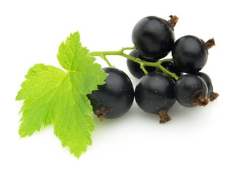 Fresh blackcurrant