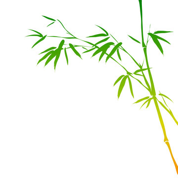 background with bamboo branches