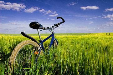 Naklejka premium Travel conceptual image.