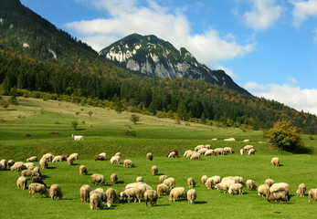 Fototapeta na wymiar Krajobrazu wiejskiego w górach Rumunii